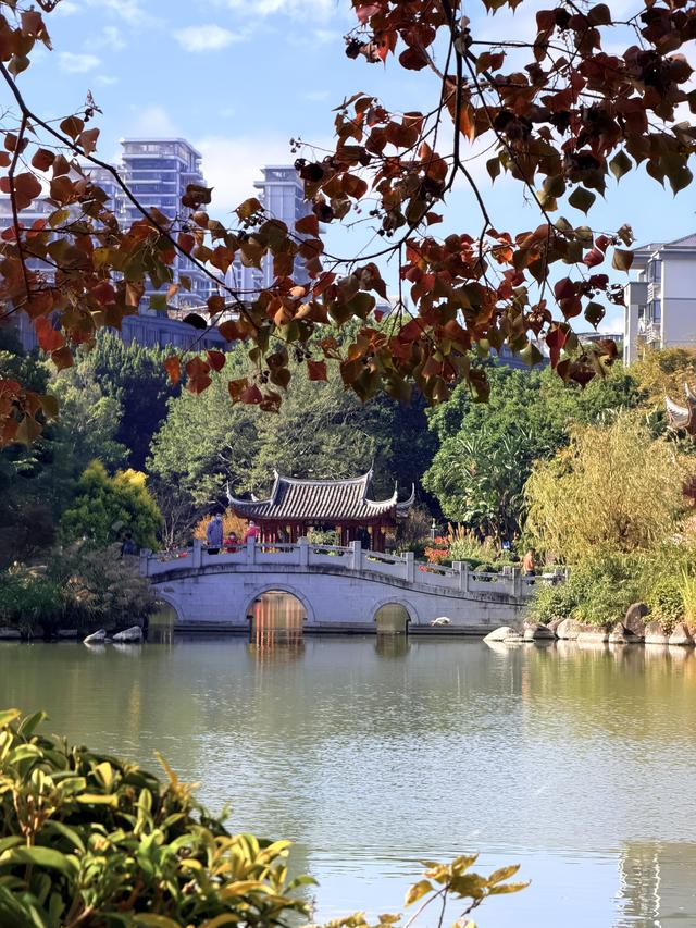 红了大片的乌桕，竟藏于一座园林之中，且被唤作 “福州小西湖”