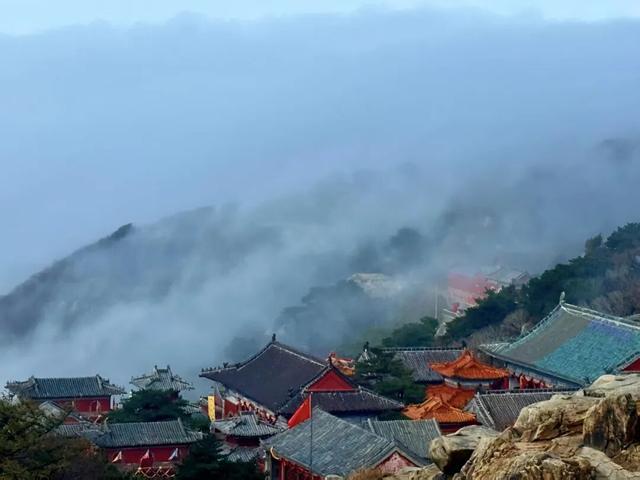 听说，山东的山最近变得「毛茸茸」？