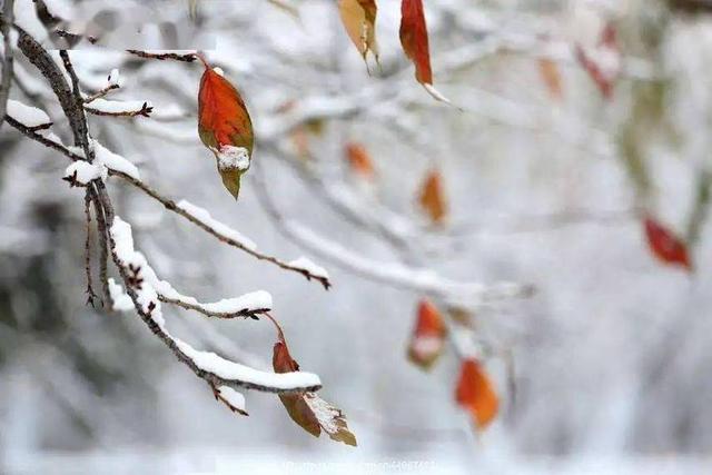 今年最冷时间表出炉了	，什么时候最冷？2026年春节冷不冷？涨知识