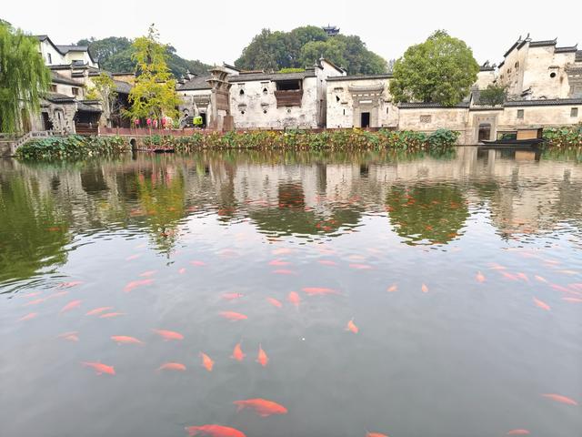 江西五日自由行：婺源弦高古城 《二十三》(2025·10·30～11·3)