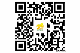 2025年沈阳市中小学学区划分方案公布！图片