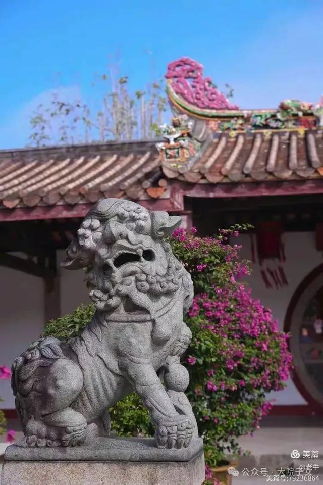 老牛｜我看到的潮洲景色