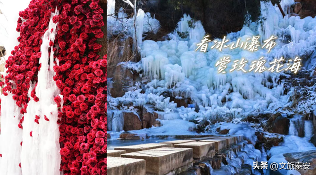 洛阳宝宝冲！四条线路解锁“一山一圣”的新玩法，朋友圈从洛阳卷到山东！