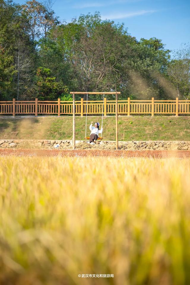 会玩的武汉人,都回村过秋天了