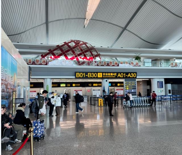 首富夫妻逃亡两年终落网，一人暴力抗法，一人狂卷9.7亿海外被抓