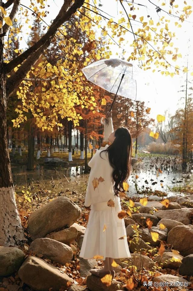 【乐游烟台】目测要火！烟台这座小城最近好看得离谱