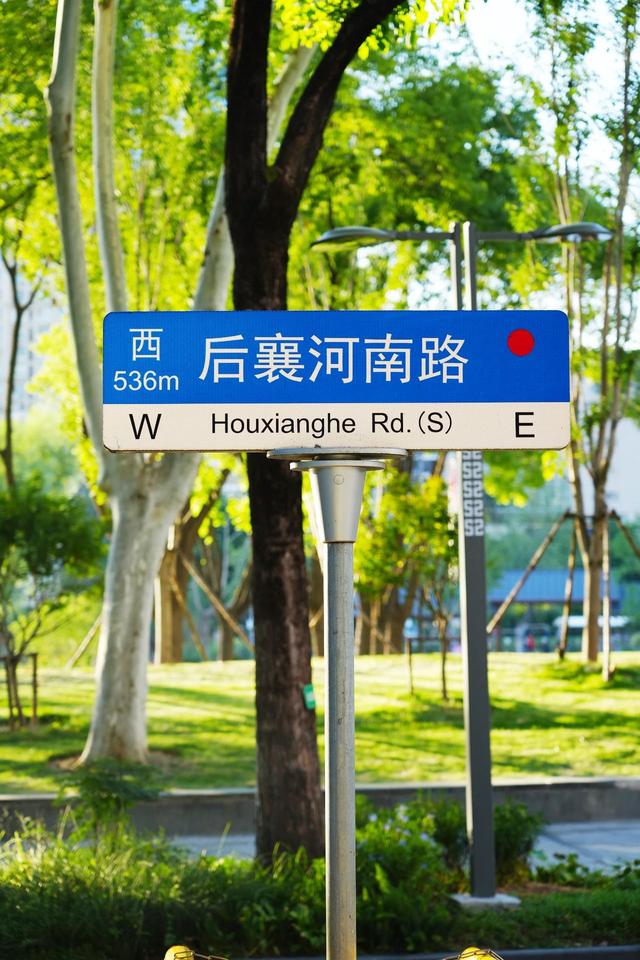556米，玩一天！江汉这条林荫路越来越惊艳