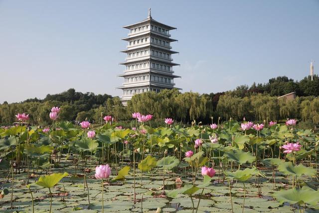 亲情在车轮上流淌 ——载着父母去旅行 之 绕过城市