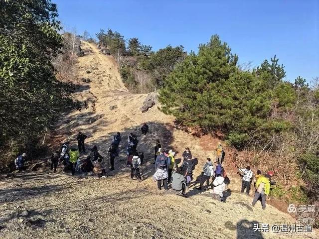 邂逅2026年的第一场醉美雾凇！温州四海山的雾凇美爆了！