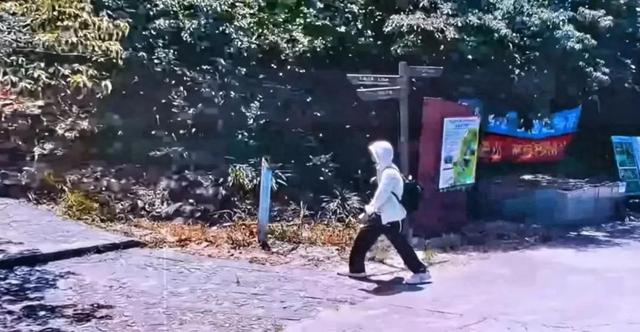 蔡磊遗体疑似被找到，裸露在荒山野岭，手机却莫名其妙丢失？