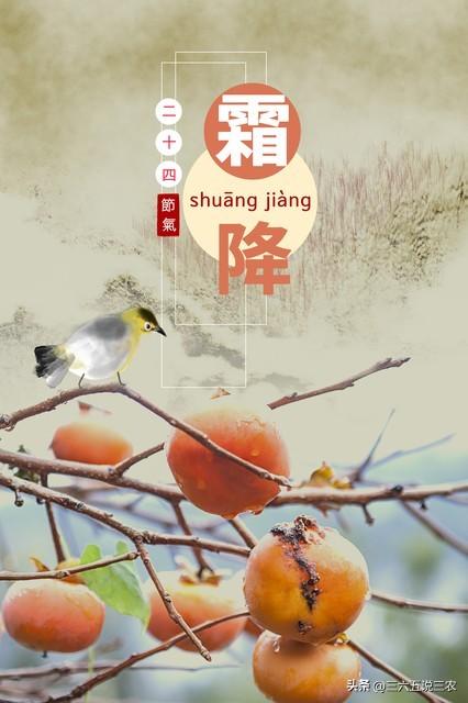 11时51分霜降，老话“霜降在头，冻死牛”，今年冬天冷到哭吗？