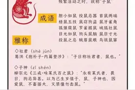 关于十二生肖的知识。图片