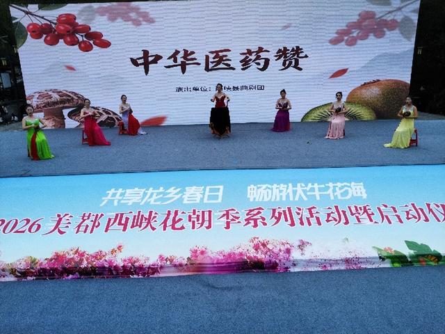 共赴龙乡春日 醉游伏牛花海 2026美鄀西峡花朝季盛大启幕