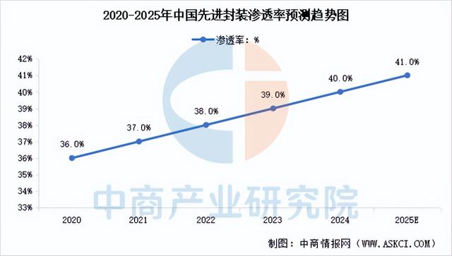 2025年中国先进封装行业市场前景预测研究报告（简版）