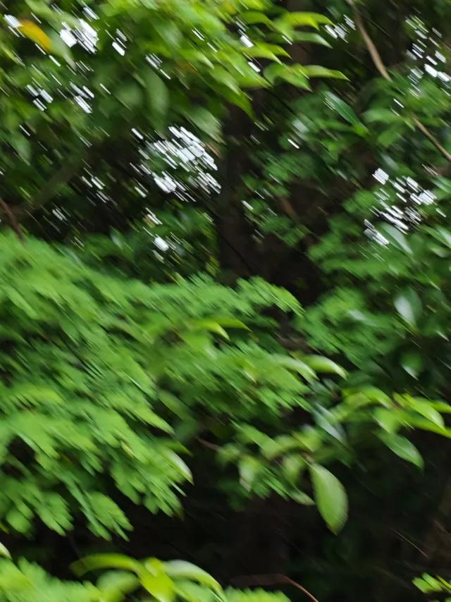 曾腾芳：在珠海登将军山