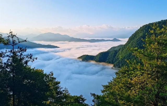 仙 境 康 城