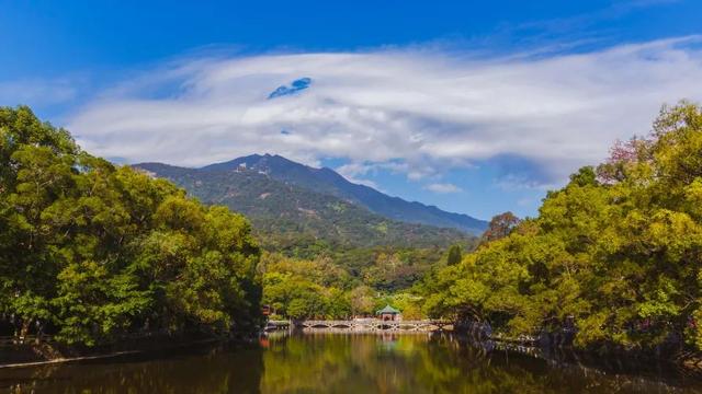 来了！知名主持人倪萍打卡罗浮山！