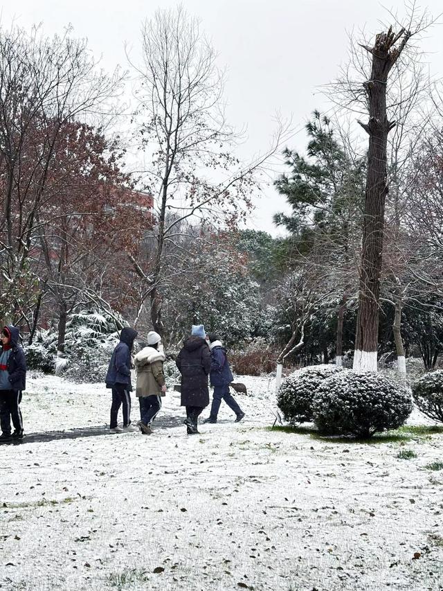 难得一见的初雪，把家门口变成诗和远方，这就是冬日的小美好