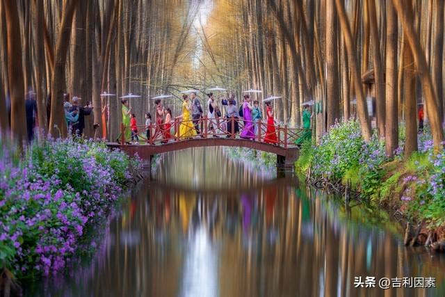 探访海安古镇——寻迹花娘桥