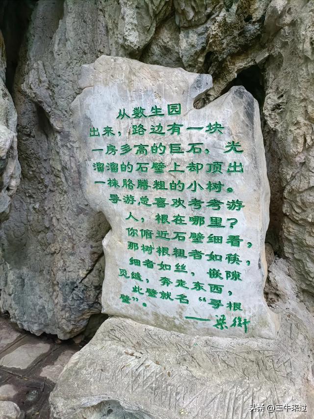 无为在歧路，贵州六日行（8）～黄果树