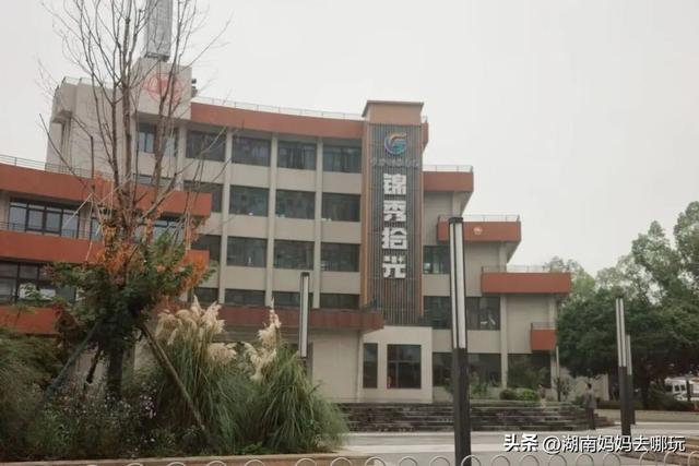 长沙妈妈私藏！河西新晋遛娃宝地，竟藏着“清迈”同款松弛感