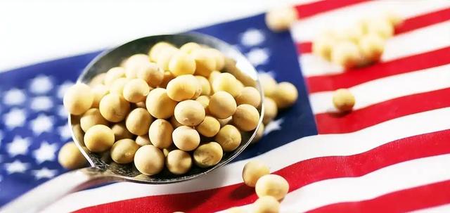 趁火打劫！巴西大豆对华猛涨价，买家集体暂停订单，静待2个时机