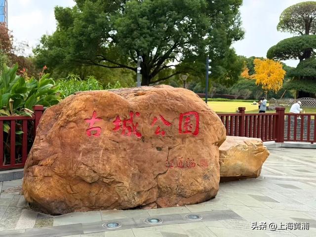 紧临外滩、豫园！居民游客都来打卡这片24小时不打烊的“森空间”：实在太美了！