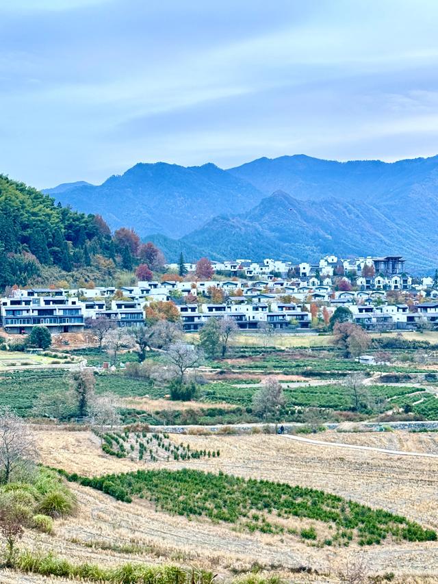 等待日出（黟县宏村镇卢村与奇墅湖）