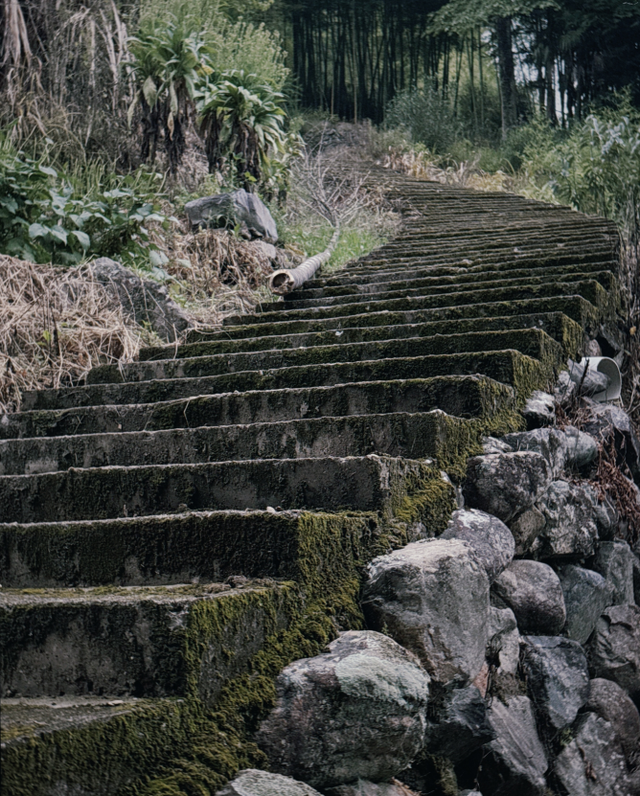 寻路屏南，茶盐古道今何在？