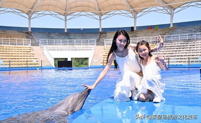 2025年度盘点（旅游篇）：新质生产力赋能全国滨海旅游目的地建设