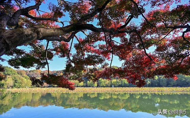 杭州西湖的景色还不错！