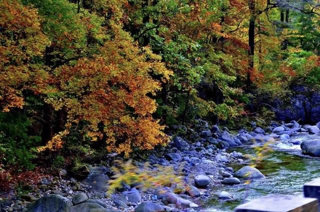 遇见金秋!来汉中,邂逅一场秋日山野浪漫之约!