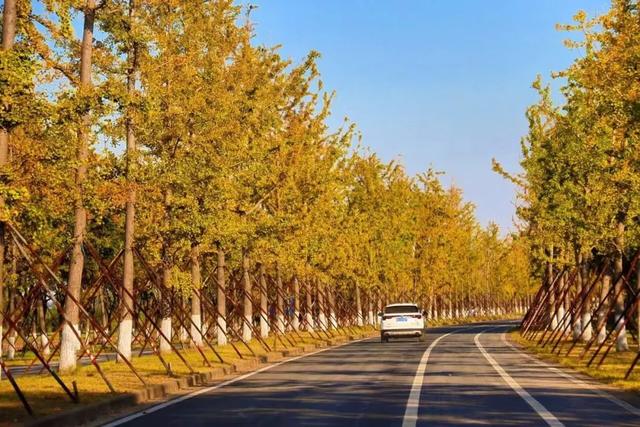 这样的张家港,我“All in”了!