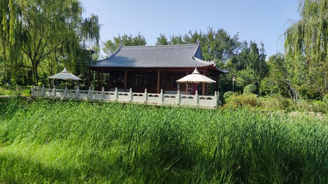 银川花博园真的好大，好大，是我见过的最大的花园