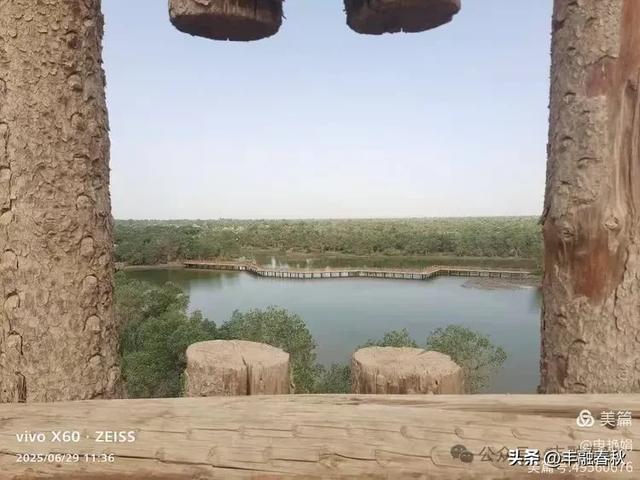 探秘新疆巴楚红海景区:自然与人文的交响| 申艳娟