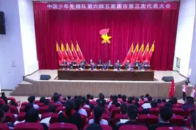 中国少年先锋队第六师五家渠市第三次代表大会召开图片