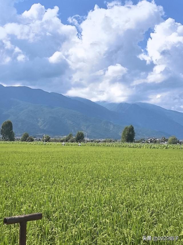 真美，云南的云