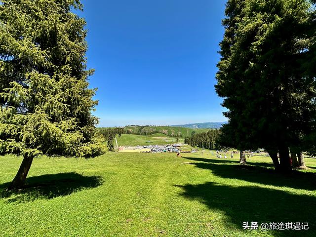 自驾北疆秘境江布拉克，雪山森林草地麦田交相辉映，媲美那拉提