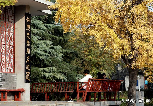 西湖公园：冬日暖阳里的惬意时光