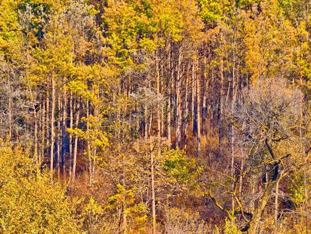 吉林市丰满区：山水相依秋意浓