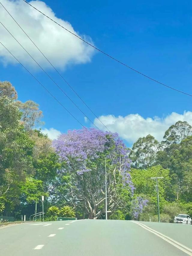路上·布里斯班 ‖ 又出来赚小时来了