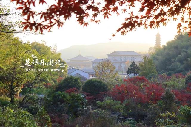 真是绝美！宁波这条山涧古道沿途尽是红枫，与古寺相映堪比诗画