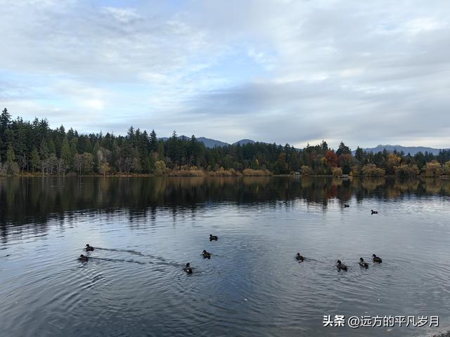 温哥华游记（一）