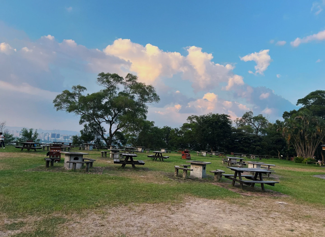 香港畸形的城市设计：大量民众在睡劏房，绿化却超过东京和首尔
