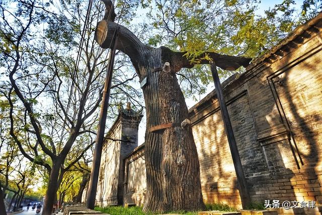河南人，逛了保定和邯郸，实在忍不住说：这俩城市差距真是不小！