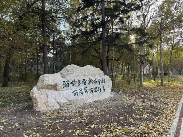 长春这里即将上新！明年开春去“寻宝”→