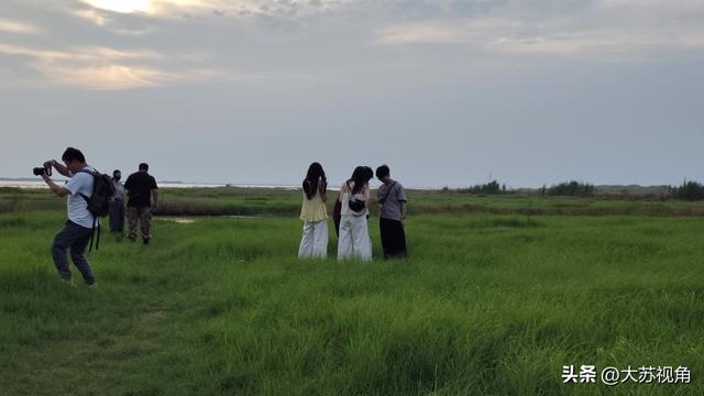 江苏周末好天气！雨停风轻宜出游，这份“穿衣+打卡”攻略请收好