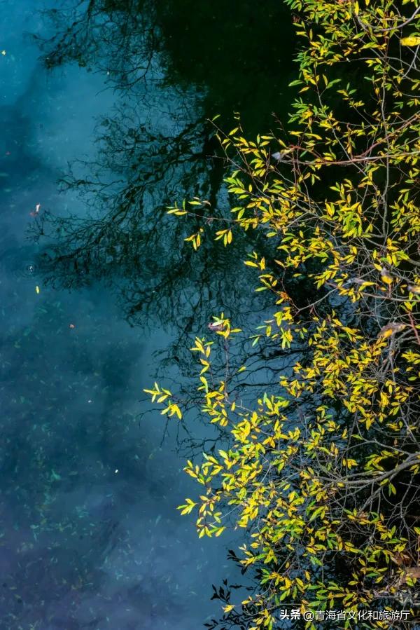 双节假期寻秋记：互助北龙山——藏在互助的“调色盘”，每一步都是诗意