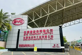 多人被罚！比亚迪最新通报图片