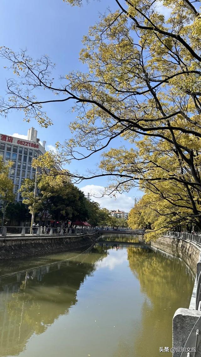 不止大坝！昆明观鸥最全热门+小众点位收录＊附核心区交通指南